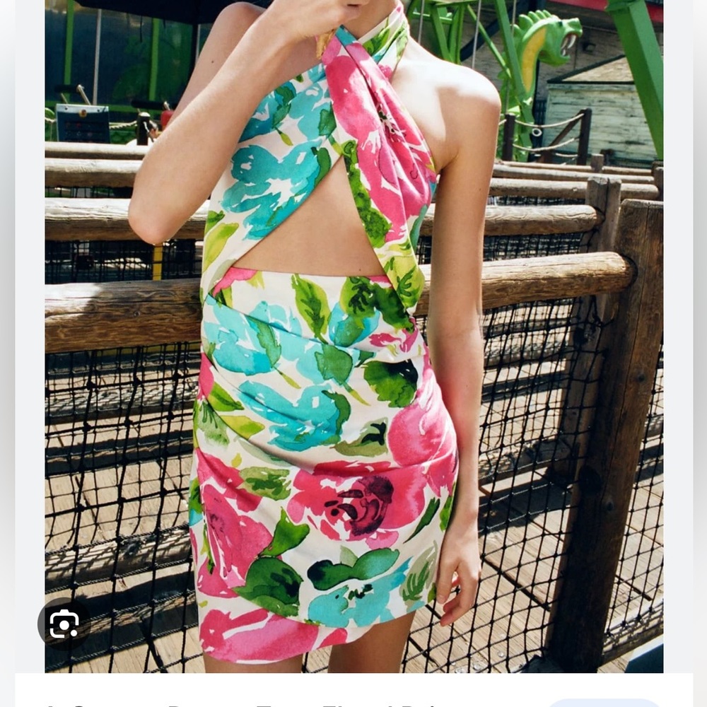 Zara dress